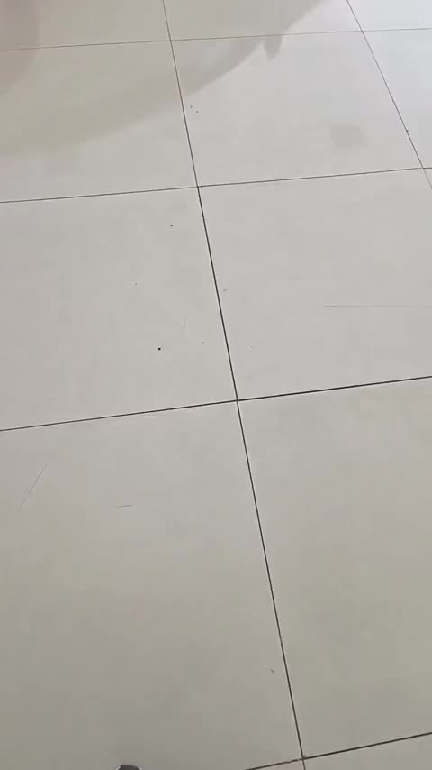 大众 宝来 2025款 200TSI DSG悦行PRO版讲解2