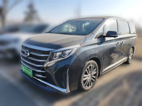 广汽传祺 传祺M8 2021款 领秀系列 390T 至尊版