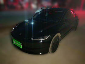 特斯拉 Model 3 2023款 长续航全轮驱动版