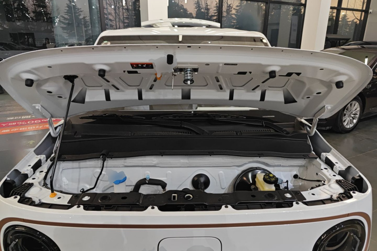 吉利银河 2024款 熊猫mini 200km 耐力熊局部细节24