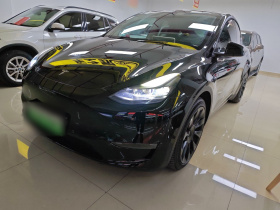 特斯拉 Model Y 2021款 标准续航后驱版