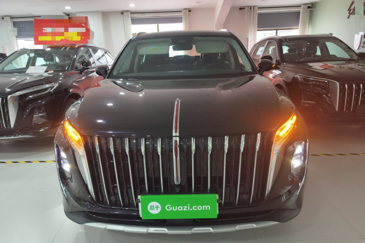 红旗HS7 PHEV 2024款 2.0T PHEV 四驱旗畅版 6座车身外观2