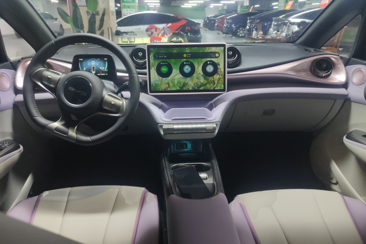 比亚迪 海豚 2021款 405km 自由版中控内饰7002