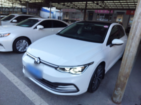 大众 高尔夫 2021款 280TSI DSG Pro