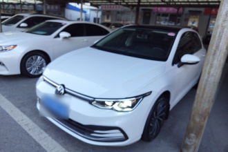 大众 高尔夫 2021款 280TSI DSG Pro