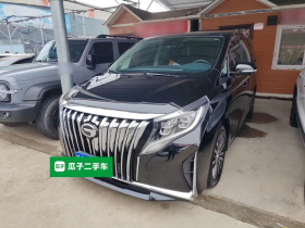 广汽传祺 传祺M8 2023款 领秀系列 390T 尊贵版