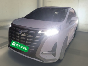 腾势D9 2022款 DM-i 945 豪华型