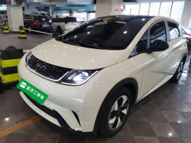 比亚迪 海豚 2024款 荣耀版 420km 时尚版