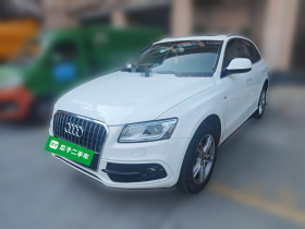 奥迪Q5 2018款 典藏版 40 TFSI 技术型