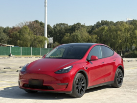 特斯拉 Model Y 2021款 长续航全轮驱动版