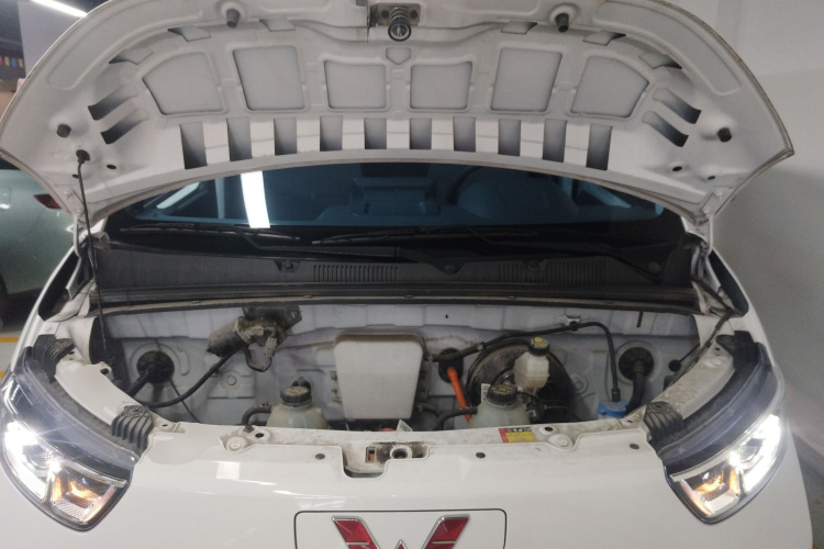 五菱汽车 五菱扬光 2024款 300km 舒适型客车版 60kW机舱底盘24