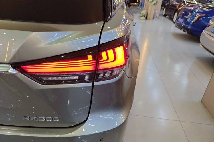 雷克萨斯RX 2020款 改款 300 四驱典雅版车身外观6006