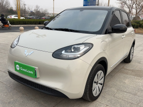 五菱汽车 五菱缤果 2024款 203km 轻享款