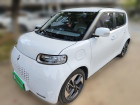 欧拉白猫 2020款 305km 豪华型