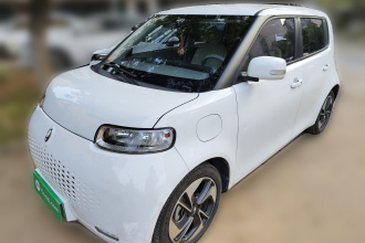 欧拉白猫 2020款 305km 豪华型