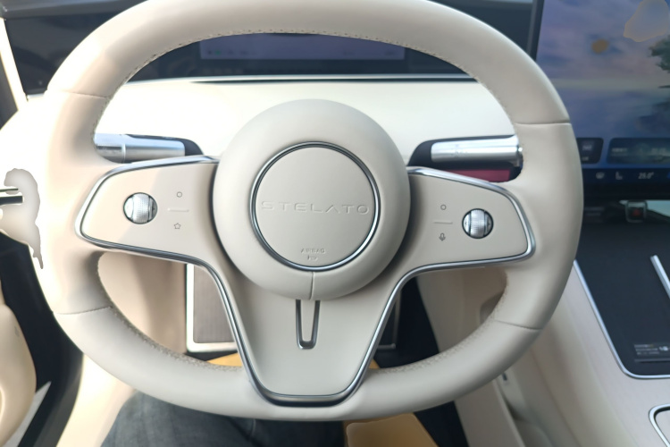 鸿蒙智行 享界S9 2024款 纯电 Max 后驱长航版局部细节13