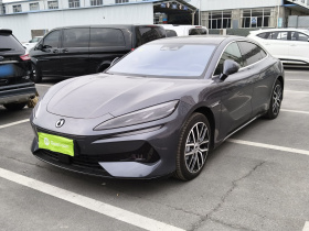 腾势Z9 2024款 1100km 四驱Max版