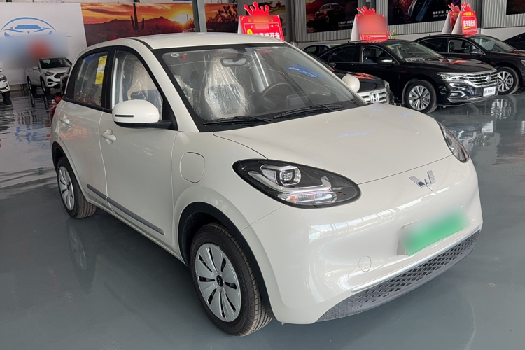 五菱汽车 五菱缤果 2024款 203km 轻享款车身外观6002