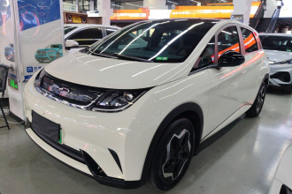 比亚迪 海豚 2021款 405km 时尚版