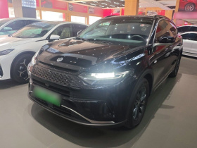 零跑汽车 零跑C11 2023款 增程 285智享版