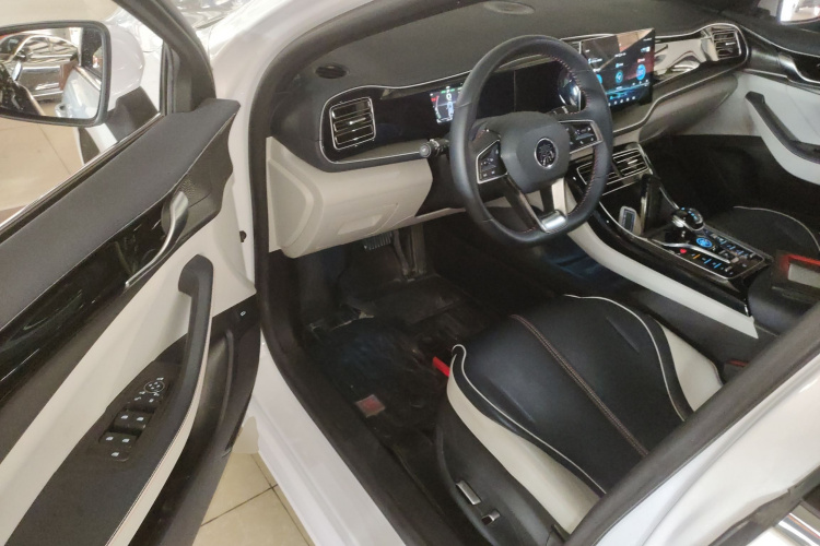 比亚迪 秦PLUS 2021款 DM-i 55KM 旗舰型中控内饰7002