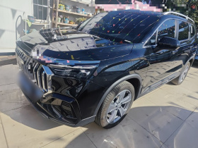 吉利汽车 豪越L 2024款 2.0T DCT旗舰型