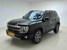 哈弗大狗 2024款 1.5T DCT边牧版