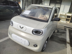 五菱汽车 宏光MINIEV 2024款 第三代 215km 青春版