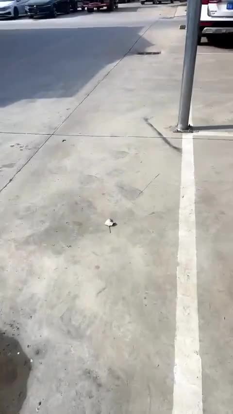 哈弗H6 2018款 红标 运动版 1.5T 自动两驱精英型讲解1