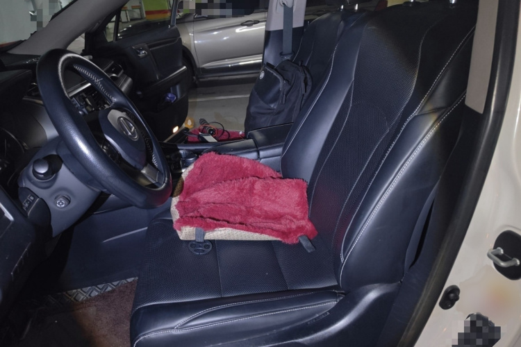 雷克萨斯RX 2016款 300 两驱精英版 国V局部细节19