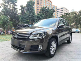 大众 途观 2016款 300TSI 自动两驱风尚版