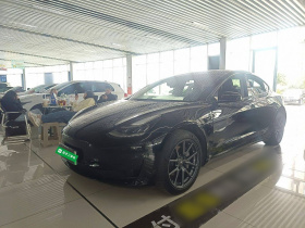 特斯拉 Model 3 2020款 标准续航后驱升级版