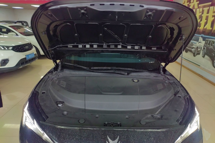 ARCFOX极狐 极狐 阿尔法S5 2024款 560PRO 185kW机舱底盘24