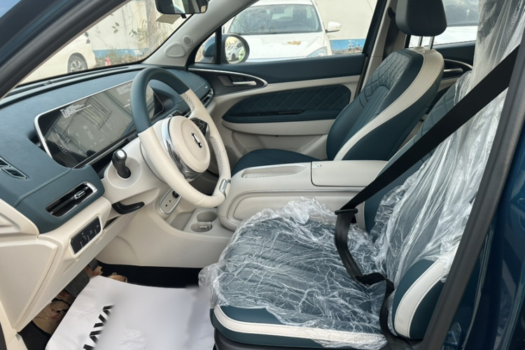 欧拉好猫 2024款 401km 豪华型中控内饰7005