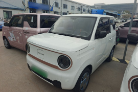 吉利银河 2024款 熊猫mini 200km 耐力熊