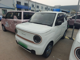 吉利银河 2024款 熊猫mini 200km 耐力熊