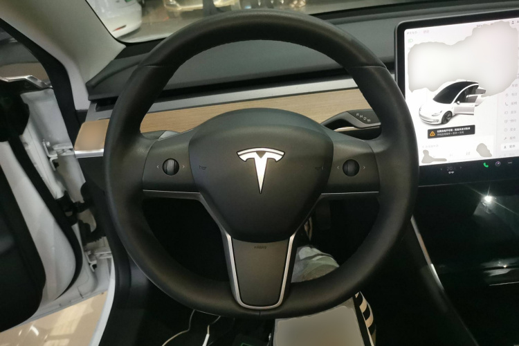 特斯拉 Model 3(进口) 2019款 长续航全轮驱动版局部细节13