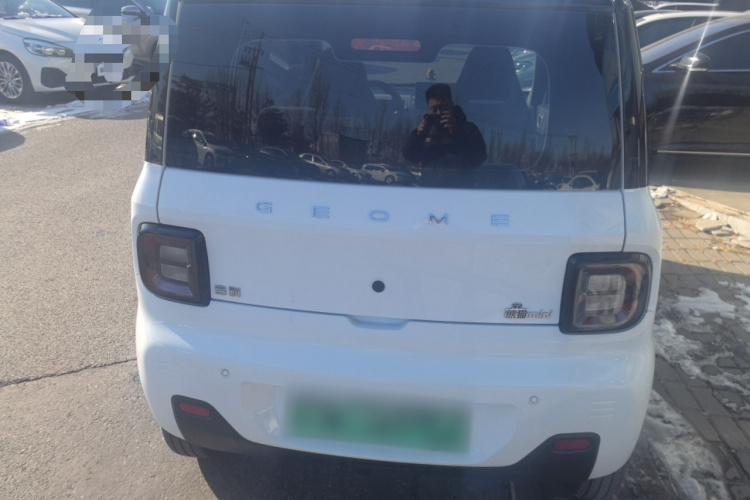 吉利银河 2024款 熊猫mini 200km 耐力熊车身外观6004