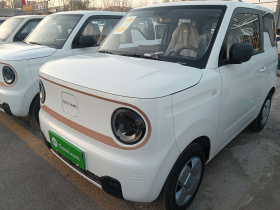 吉利银河 2024款 熊猫mini 200km 耐力熊