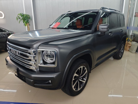 哈弗H9 2024款 2.0T 汽油四驱极境版