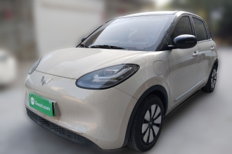 五菱汽车 五菱缤果 2024款 333km 悦享款