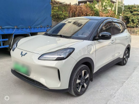 五菱汽车 五菱缤果PLUS 2024款 510km 五座版