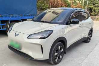 五菱汽车 五菱缤果PLUS 2024款 510km 五座版