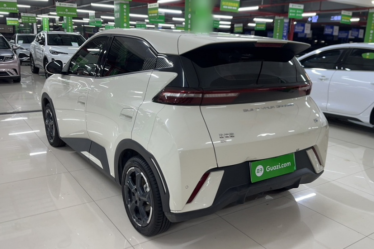 比亚迪 海鸥 2023款 飞翔版车身外观6003