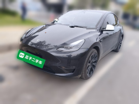 特斯拉 Model Y 2024款 长续航全轮驱动版