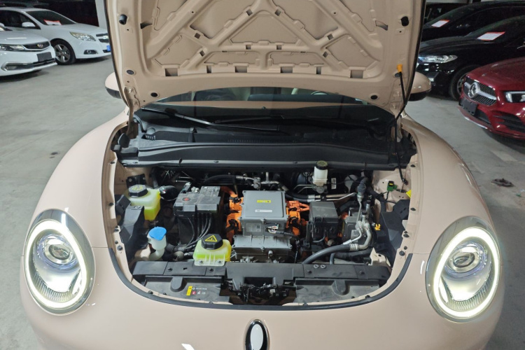 欧拉好猫 2022款 莫兰迪版 400km标准续航 尊贵型 三元锂局部细节24