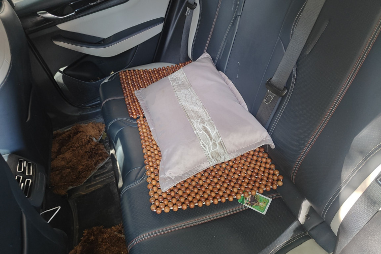 比亚迪 秦PLUS 2023款 冠军版 DM-i 55KM领先型中控内饰21