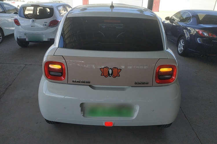 欧拉黑猫 2022款 301km 基础型 三元锂车身外观6