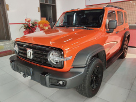 坦克300 2021款 越野版 2.0T 征服者