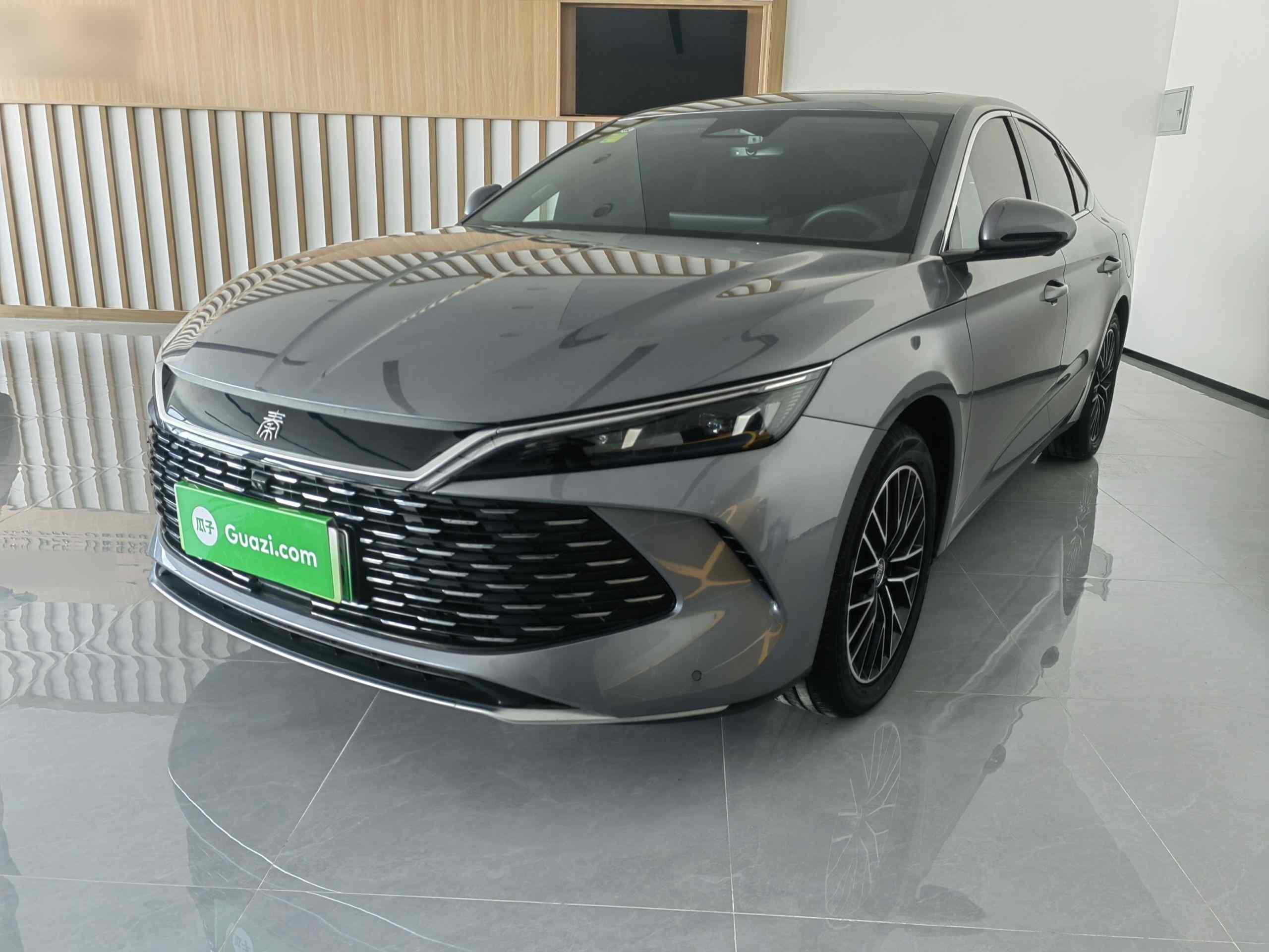 比亚迪 秦L 2024款 DM-i 120KM卓越型(2)